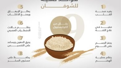 اهم 5 فوائد الشوفان .. ووصفات مفيدة للاطفال