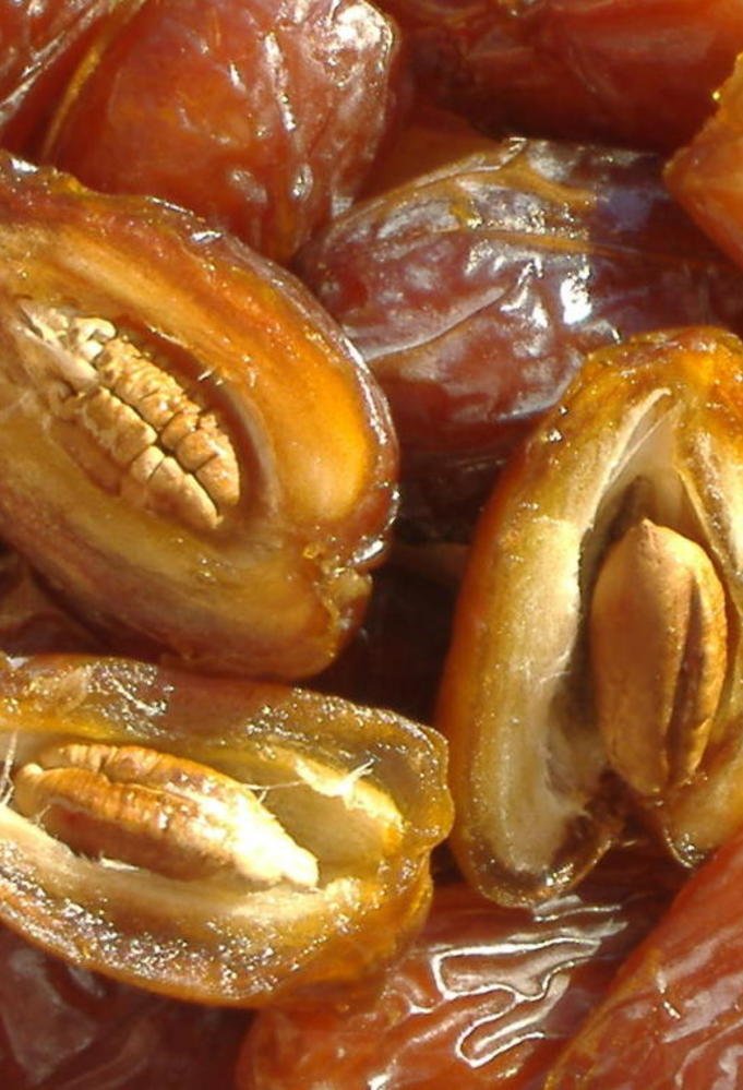 فوائد التمر للاطفال