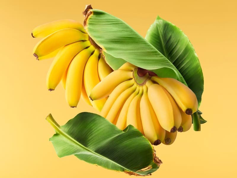 فوائد الموز المدهشة لذكاء طفلك
