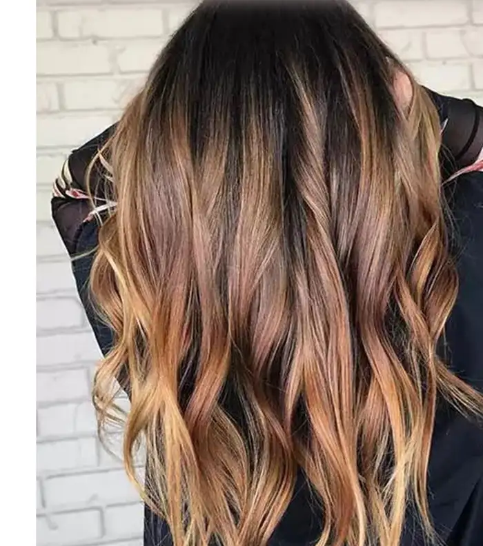 صبغات الشعر البني ودرجاته