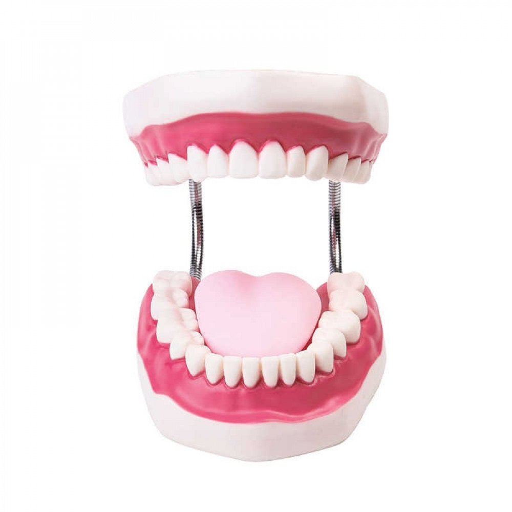 عمل فني للأطفال عن الأسنان