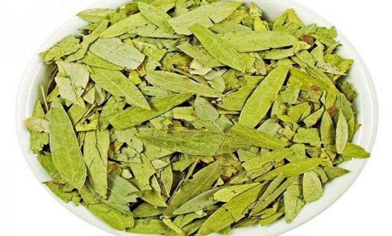 طريقة استخدام أوراق السنامكي