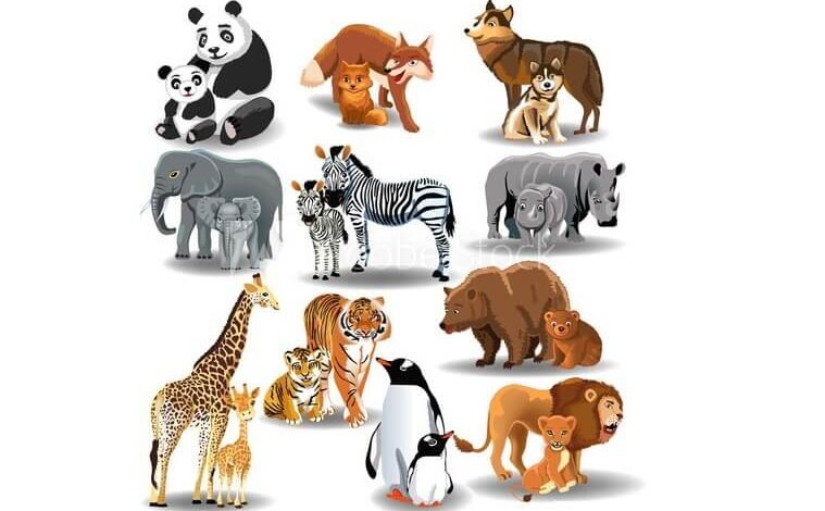 أسماء الحيوانات