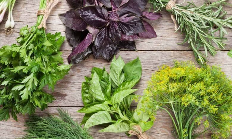 علاج المغص عند الأطفال حديثي الولادة بالاعشاب