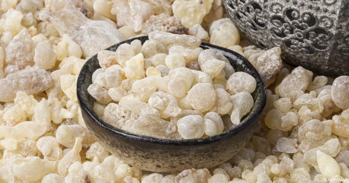 فوائد لبان الذكر للحامل وأضراره