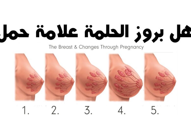 ما هي تغيرات الثدي في الحمل