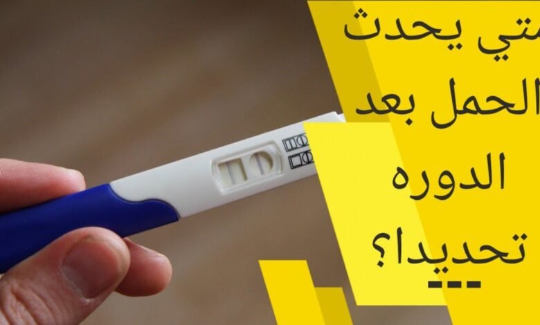متى يبدأ الحمل؟