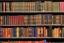 رواية احببت بنت أختي