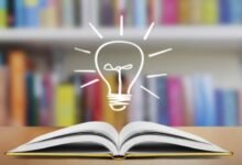 رواية البحث عن كتكوت