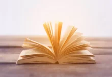 رواية انت سندي الحقيقي الفصل الثامن 8 بقلم نور محمد