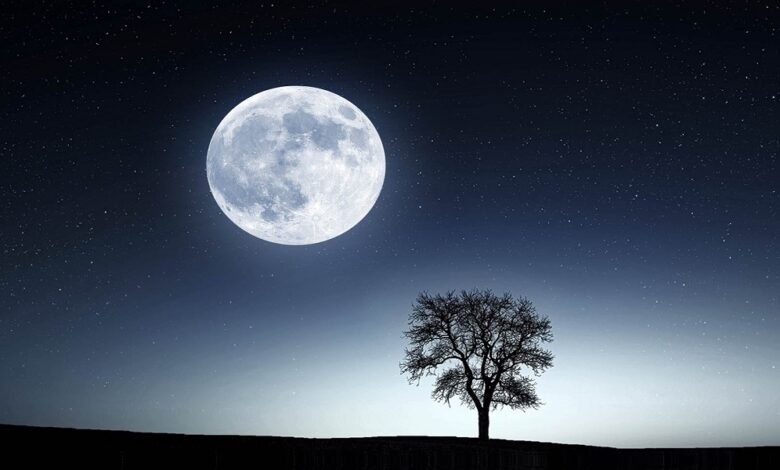 رواية عشق تحت ظل القمر