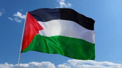 اكتب اسمك على علم فلسطين HD