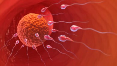 أعراض عدم تلقيح البويضة