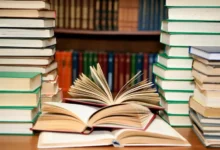 رواية عشقت ملاكي