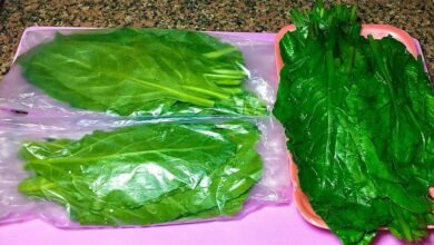 طريقة تخزين السلق