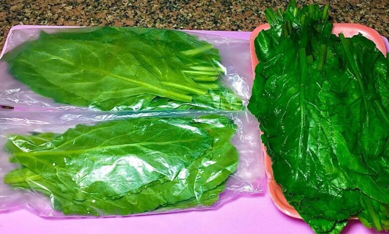 طريقة تخزين السلق