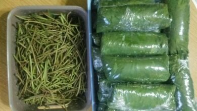 طريقة تخزين ورق العنب