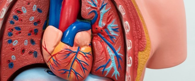 تأثير مشكلة ضعف عضلة القلب على العلاقة الزوجية