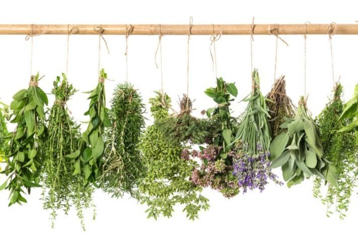 علاج الشقيقة بالأعشاب