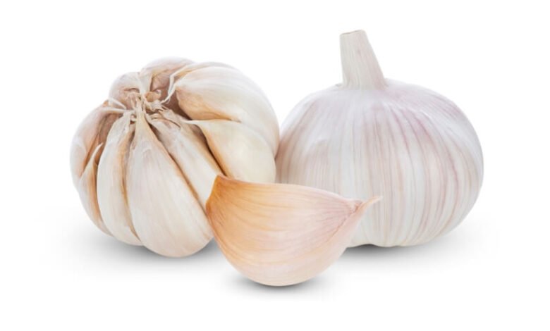 علاج الشقيقة بالثوم