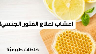 علاج ضعف الانتصاب طبيعيًا