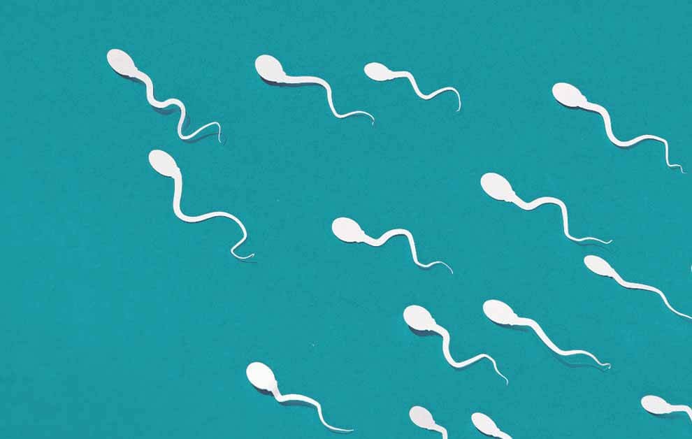 هل تأخر القذف عند الرجال يمنع الحمل؟