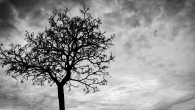 زوجي يمنعني من زيارة أهلي