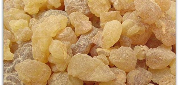 الصمغ العربي