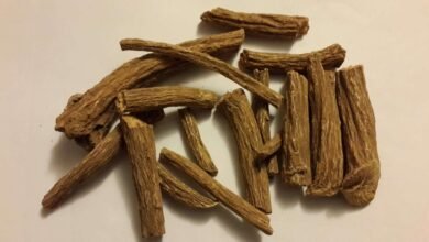 القسط الهندي