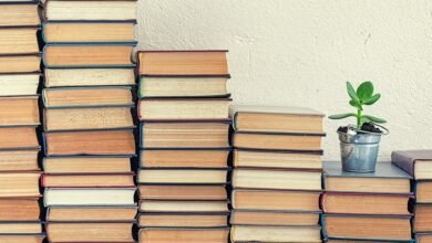 رواية قلعة هاول المتحركة