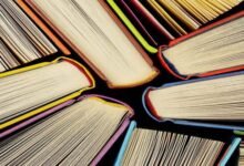 رواية ودق قلب الحجر