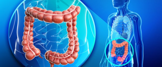 طريقة تنظيف القولون