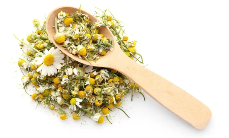 فوائد البابونج للمهبل