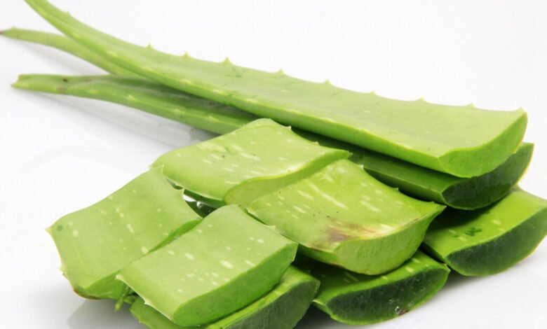 فوائد الصبار للجسم