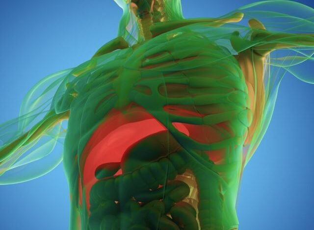 ماذا يحدث للجسم أثناء الصيام