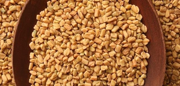 وصفة تكبير الثدي بالخميرة