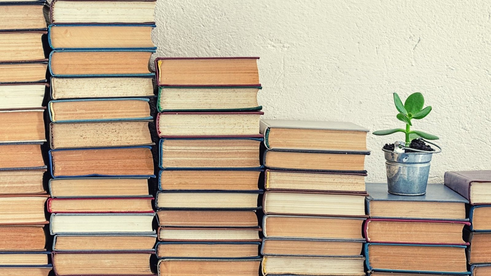 رواية بالغصب ولكن كاملة 