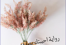 رواية احببتك صدفة