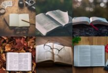 رواية الهروب