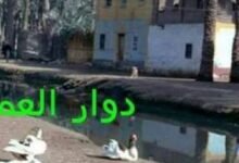 رواية دوار العمدة