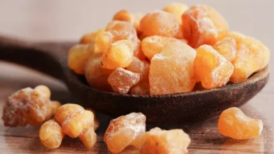 فوائد الصمغ العربي في علاج مشاكل الاسنان