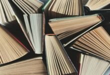 رواية اروى في الجنوب كاملة بقلم جوري محمد