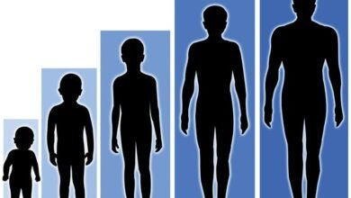 هل العاده السريه تؤثر على النمو