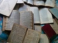 رواية وجع الخيانة