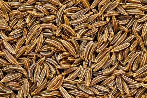 محاذير تناول الكراوية