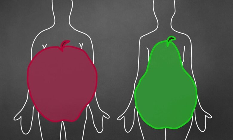 أساسيات رجيم جسم التفاحة