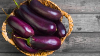 أضرار أكل الباذنجان النيئ قبل النوم