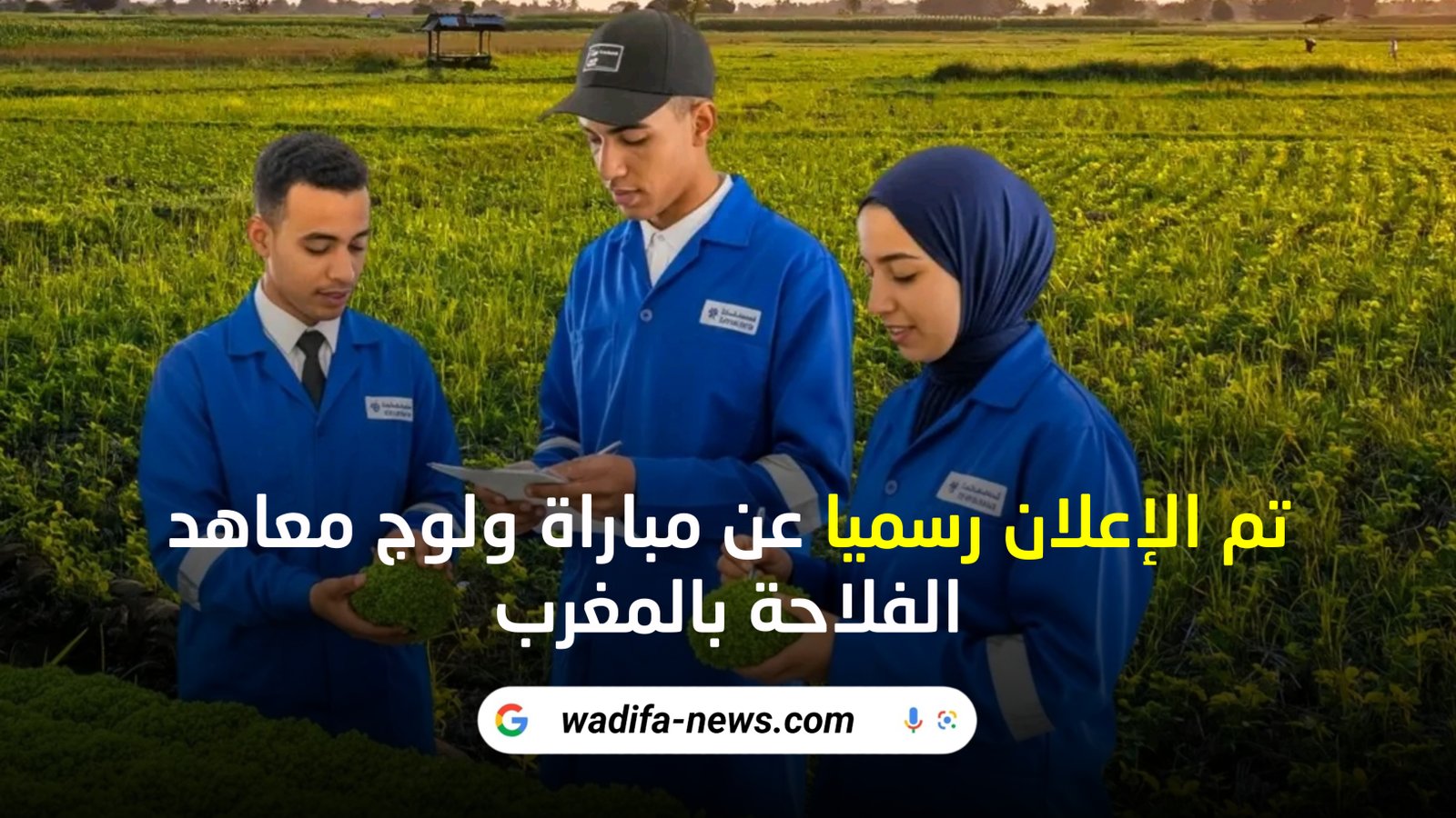 رسمــياً.. التسجيل مفتوح في المعاهد الفلاحية ITSA التابعة لوزارة الفلاحة والصيد البحري 2025 – لجميع حاملي البكالوريا وحتى بدونها! رسمــياً.. التسجيل مفتوح في المعاهد الفلاحية ITSA التابعة لوزارة الفلاحة والصيد البحري 2025 – لجميع حاملي البكالوريا وحتى بدونها!
