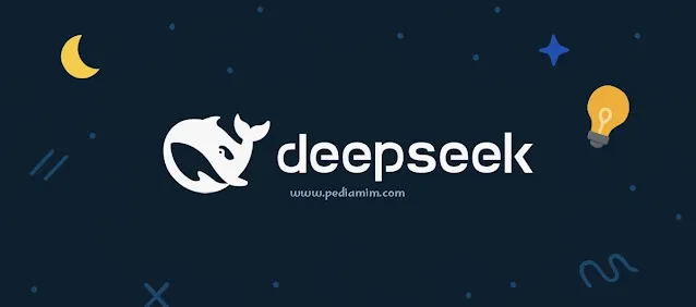 DeepSeek ai DeepSeek