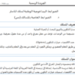 الضوابط البيداغوجية الوطنية لسلك الماستر 2025